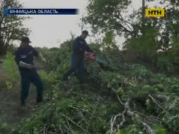 Буревій наробив лиха на Вінничині