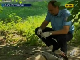 У Дніпропетровську неповнолітні наркомани жорстоко вбили чоловіка