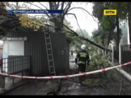 Ранній сніг знеструмив Буковину