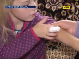 Вспышка бешенства в Ровенской области