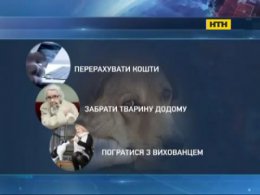 У столиці знову труять собак, а притулок для тварин - на межі голоду