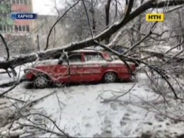 Хуртовини накоїли лиха по всій Україні