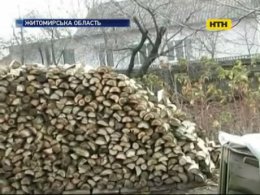 В Україні здорожчання газу призвело до варварського вирубування лісів