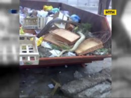 В харьковском мусорном баке обнаружили огромную змею