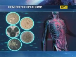 Київські гуртожитки доїдає смертельний грибок
