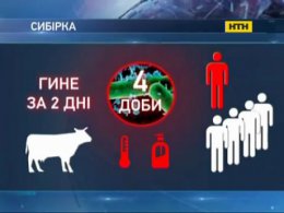 На Харьковщине - угроза эпидемии сибирской язвы
