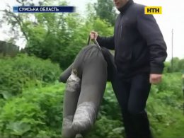 На Сумщині друзі по чаркуванню на смерть забили жінку