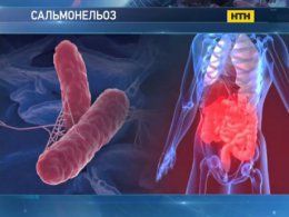 В детском садике Луцка - вспышка сальмонеллеза