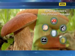 Грибы - предостережения и первая помощь