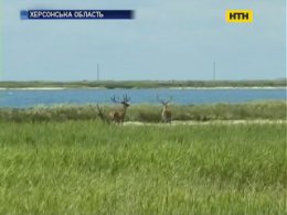 В отпуск по Украине - Херсонщина