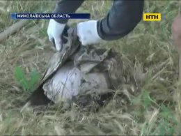 В Николаеве мать и бабушка убили младенца