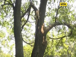 На Харківщині уражених блискавкою дітей везли назустріч швидкій