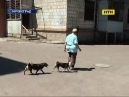 Неадекватная собачница терроризирует соседей в Кировограде