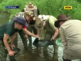 У Польщі масово шукають золоті скарби Наполеона