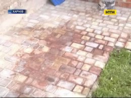 Кривавий та безглуздий злочин у Харкові