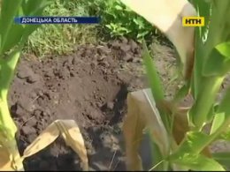 У Слов'янську батьки-пияки занапастили та закопали на городі дитину