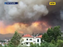 Португальський острів Мадейра охоплений лісовими пожежами