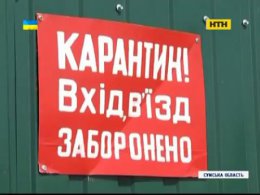 На Сумщине режут свиней из-за вспышки АЧС