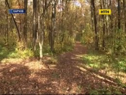 У харківському лісопарку чоловік з ножем накинувся на глухоніму дівчинку