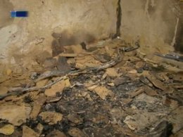 В Ровно в пожаре едва не погибли оставленные без присмотра дети