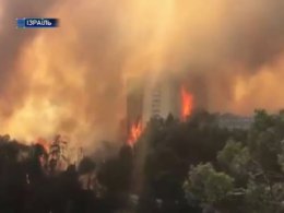 Жахливі пожежі в Ізраїлі можуть повторитися найближчим часом