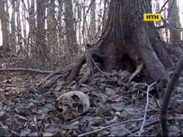В Черкасской области найдены останки пропавшей женщины