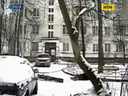 На сході Москви величезне обледеніле дерево впало просто на двох жінок