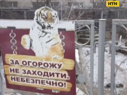 Працівника Миколаївського зоопарку знайшли мертвим у вольєрі хижаків