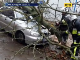 У Хмельницькому розламане вітром дерево розтрощило автівку