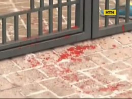 У Харкові пес покусав хазяйку та її гостей