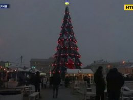 Новогодние елки - какие они в разных областях Украины?