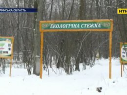 На прогулянку зимовим лісом та із дикими звірами