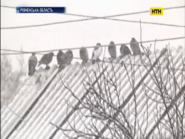 Горілка та морози занапастили чотири життя на Рівненщині