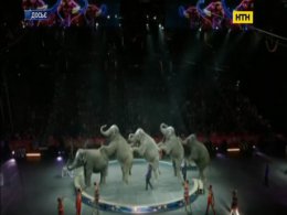 Зоозащитники пытаются лишить детей цирковых животных