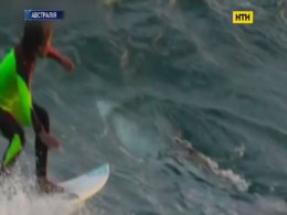 Маленький австралиец чудом спасся от акулы