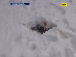 На Вінничині школярка жорстоко вбила новонародженого