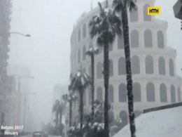 Хуртовини перетворили батумські пальми на ялинки