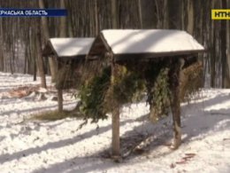 У черкаських лісах створили спеціальні зони відпочинку для диких звірів