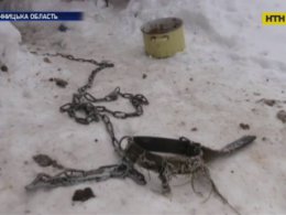 Чи загрожує покарання за смерть пенсіонерки собакам-убивцям та їх власникам?