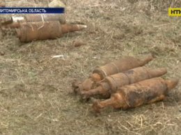 Житомирські поліцейські знайшли цілий склад боєприпасів та наркотиків