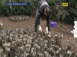 Оригінальну "консервацію" відкопали на Прикарпатті