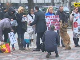 Біля Верховної Ради пройшов мітинг на захист тварин