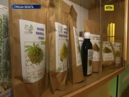 Безнаркотичні коноплі проти страшних хвороб використовують на Сумщині