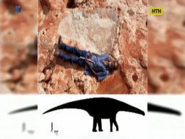 Слід величезного динозавра знайшли в Австралії