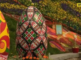 У Києві на Співочому Полі відкрилася виставка тюльпанів
