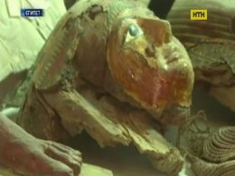 В египетском Луксоре обнаружили уникальное захоронение