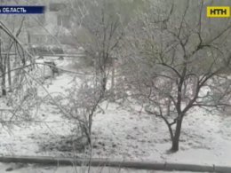 Одесскую область замело - снег достигает 20 сантиметров