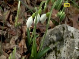 На майские праздники погода порадует украинцев