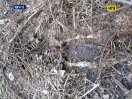 Страшна знахідка в Чернігові