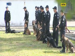 Мохнатые полицейские готовы защищать порядок на Евровидении